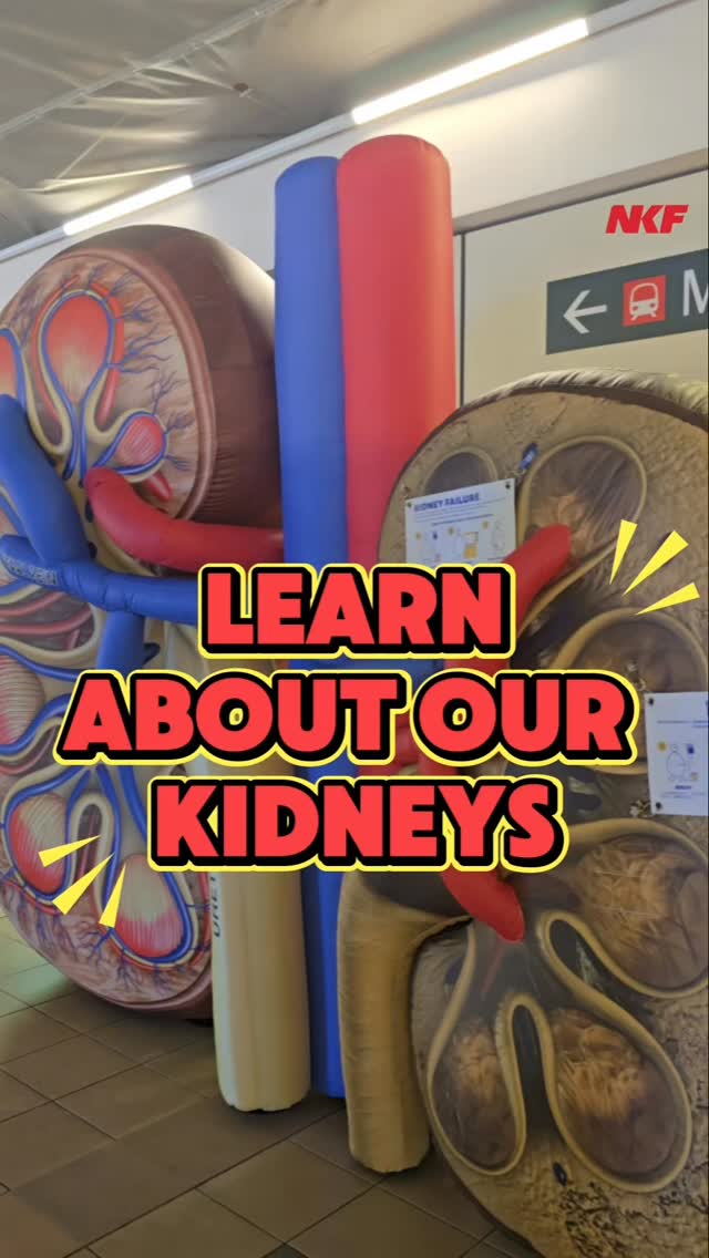Our giant kidneys were out and about! On World Kid…