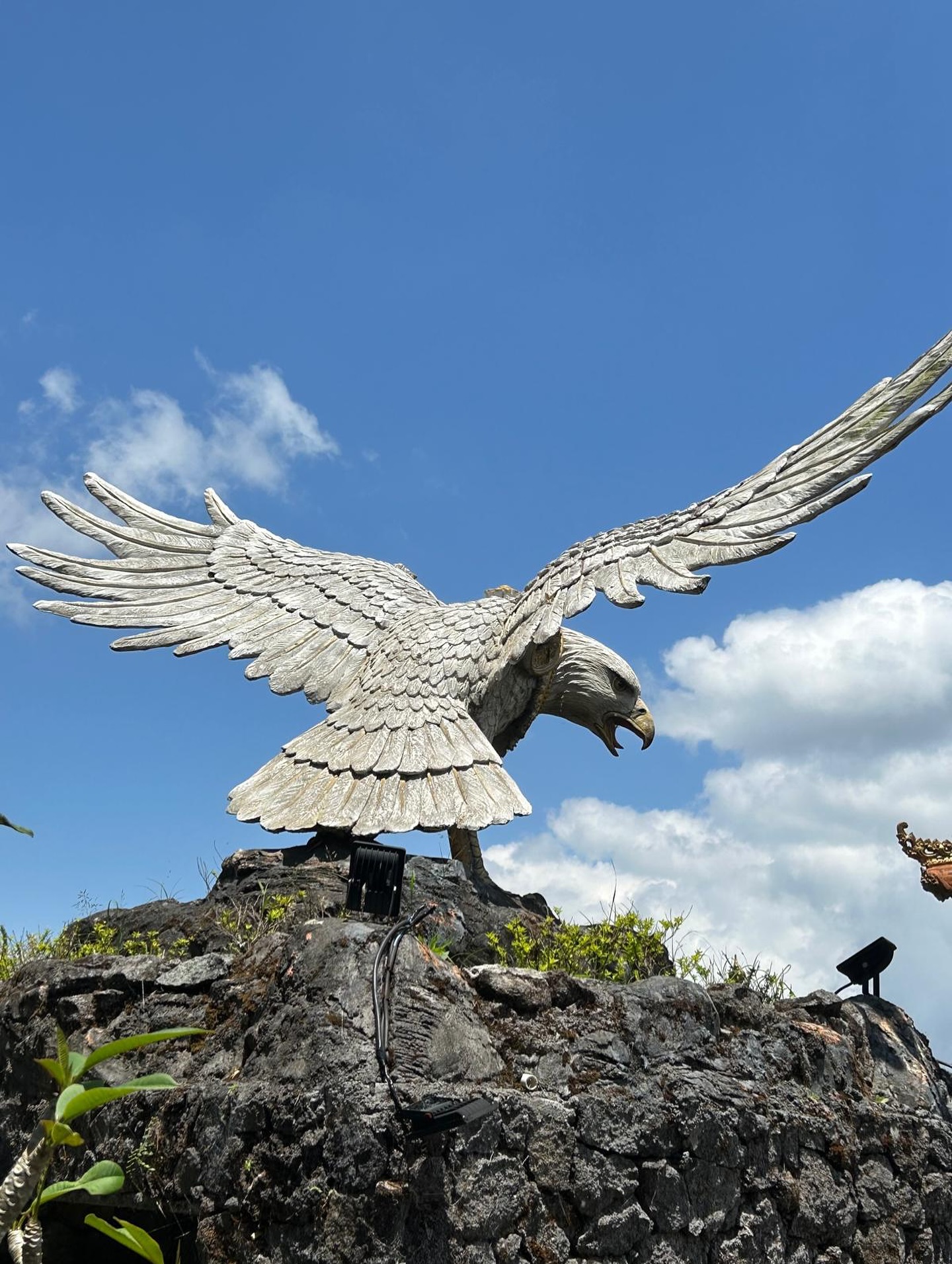 🦅 Garuda Hotel Wanagiri – Where Vision Takes Flight 🌿
At the heart of our company stands Garuda — the mighty mythical bird from ancient lore, and the national symbol of Indonesia. Representing strength, freedom, and divine purpose, Garuda reflects the spirit of our mission:
✨ To uplift, to inspire, and to offer a peaceful sanctuary above the clouds.
Perched in the lush highlands of Wanagiri, our hotel is more than just a place to stay — it’s a space to reconnect with yourself, nature, and the powerful energy of Bali.
Come feel the wings of Garuda in every breeze.
#GarudaHotel #GarudaSpirit #WanagiriEscape #BaliHeights #SoulfulStays #MythMeetsNature