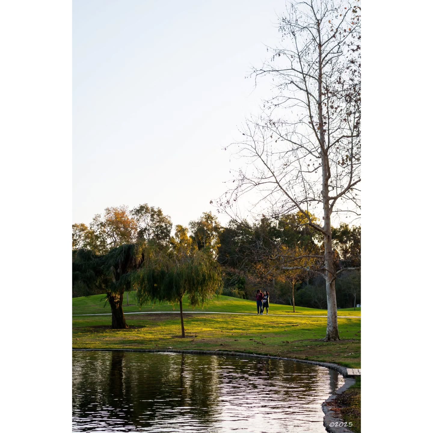 I see in William Mason Park... #latepost